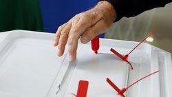 Вячеслав Гладков: «Вчера завершился первый день досрочного голосования на выборах президента» 