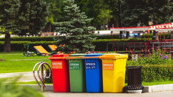 Белгородцы смогут научиться правильно сортировать мусор