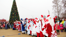Парад Дедов Морозов дал старт новогодним праздникам в Грайворонском округе