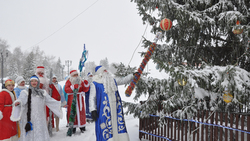 Парад Дедов Морозов открыл главную ёлку городского округа