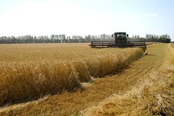 Белгородские сельхозпроизводители смогут получить отсрочку по кредитным платежам на один год