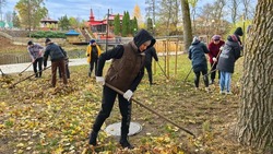 Грайворонцы навели порядок в городе