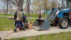 Грайворонцы продолжили ликвидацию последствий урагана