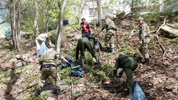 Природоохранная акция «Очистим лес от мусора» объединила более 300 тысяч белгородцев