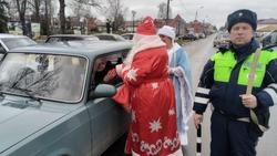 Грайворонцы провели акцию «Деду Морозу обещаю – ПДД не нарушаю» 