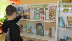 Грайворонская детская библиотека пополнилась более чем 1 тысячей экземпляров книг