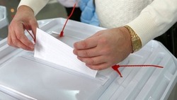 Более 9 тысяч грайворонцев проголосовали по итогам двух дней выборов 2023 года