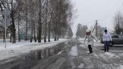 Белгородские власти призвали муниципалитеты оперативно проводить ямочный ремонт