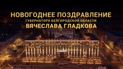 Вячеслав Гладков адресовал слова поздравления жителям Белгородской области с Новым годом