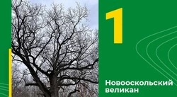 Материал