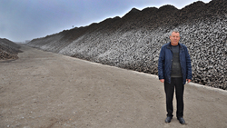 Около 230 тысяч тонн свёклы поступило на переработку на сахарный комбинат Большевик