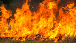 Грайворонские пожарные напомнили о мерах безопасности при сборе зерновых культур