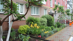 Белгородцы приступили к озеленению дворов многоквартирных домов