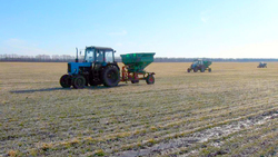 Компания «Грайворон-Агроинвест» начала подкормку озимой пшеницы