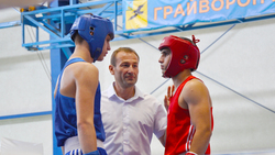 Грайворонцы посвятили турнир по боксу памяти Владимира Чупина