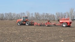 Сев зерновых и зернобобовых культур стартовал в Грайворонском округе