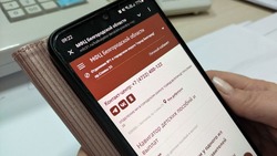 Навигатор социальных выплат поможет грайворонцам узнать о причитающихся пособиях