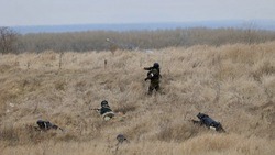 Вячеслав Гладков рассказал о тренировках отрядов территориальной обороны 
