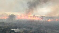 Белгородские пожарные потушили 99 ландшафтных возгораний