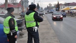 Грайворонские инспекторы рекомендовали жителям округа быть внимательными на дорогах