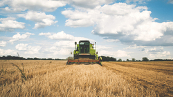 Белгородская область отчитается о расходовании средств на развитие аграрной отрасли