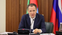 Вячеслав Гладков договорился с министром экономразвития о помощи пострадавшему от обстрелов бизнесу