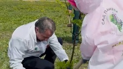 Вячеслав Гладков посадил саженцы липы в рамках акции «Сад памяти»