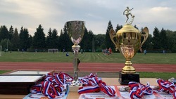 Гора-подольцы стали победителями турнира на Кубок главы Грайворонского городского округа по футболу