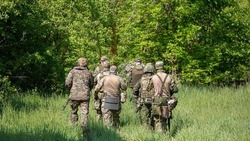  «Защитники Отечества» и команда Дениса Проценко запустили проект СВОИРОДНЫЕ.РФ