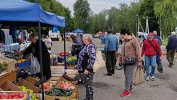 Еженедельная сельскохозяйственная ярмарка снова порадовала грайворонцев