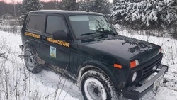 Инспекторы леса предупредили грайворонцев о запрете на самовольную рубку ёлок