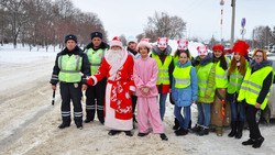 Активисты провели флешмоб «Обещание Деду Морозу»
