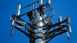 115 вышек сотовой связи установили в Белгородской области с 2019 года