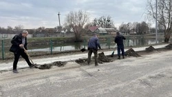 Грайворонцы присоединились к областному экологическому субботнику