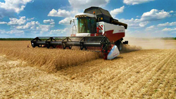 Аграрии подвели предварительные итоги сельскохозяйственного года