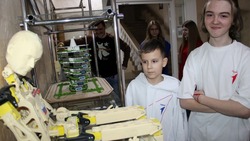 Грайворонцы смогут познакомиться с экспонатами выставки «3D как искусство»