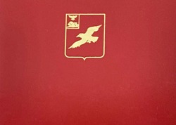 Решение Совета депутатов Грайворонского муниципального округа от 26.02.2025 года №221