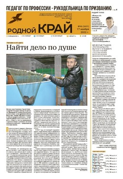 Газета «Родной край» от 17 ноября 2022 года