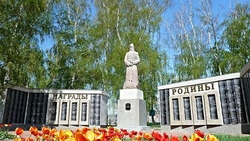 Октябрь в огне. Грайворонцы создали революционный полк 100 лет назад