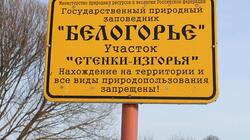 Правительство региона разработает программу обновления заповедника «Белогорье»