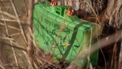Вячеслав Гладков – о продолжении работы сапёров по разминированию в приграничье