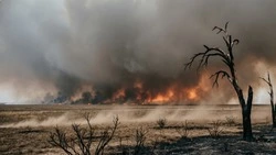 Власти предупредили грайворонцев о повышенном риске возникновения ландшафтных пожаров