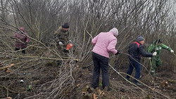 Жители села Доброе Грайворонского горокруга провели субботники по уборке территории