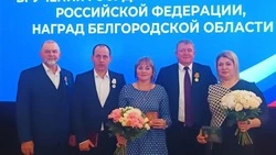 Пятеро грайворонцев получили государственные и региональные награды