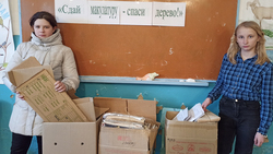 Активисты школы Грайворонского округа собрали 3 тонны макулатуры