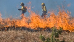 Рейды по предупреждению пожаров от загораний сухой травы и мусора начались в регионе