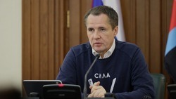 Вячеслав Гладков призвал тщательнее проверять ввоз продукции и животных из-за границы