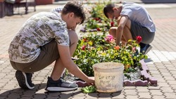 Вячеслав Гладков: на сегодняшний день в Белгородской области 15 тыс. подростков нашли работу