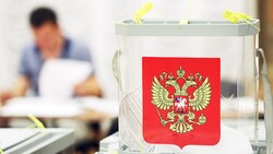 Член Общественной палаты РФ прокомментировал итоги голосования в Белгородской области