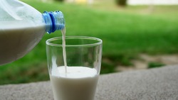 Хозяйства Грайворонского горокруга получили свыше 40 тысяч тонн молока в 2018 году